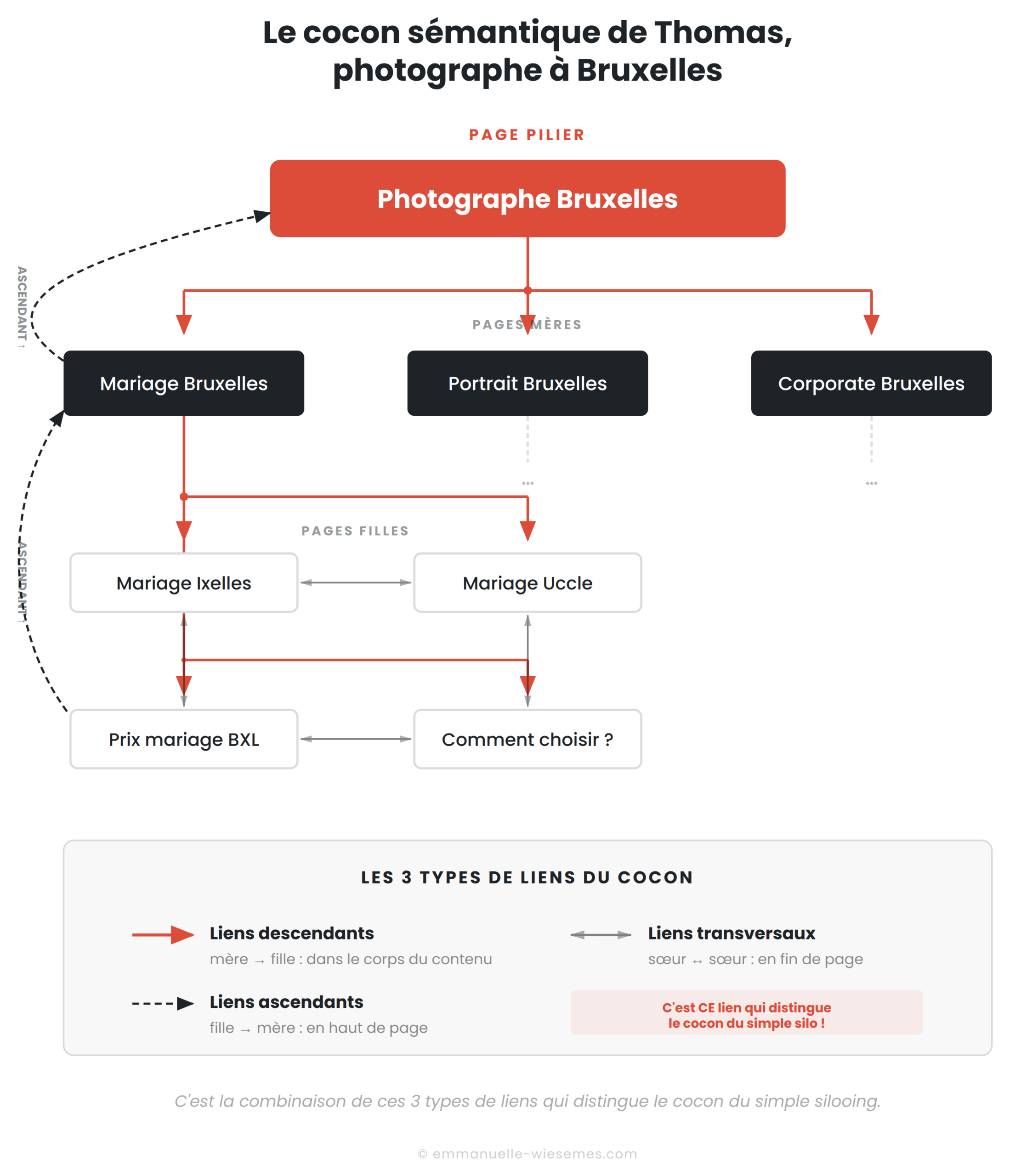 Exemple de cocon sémantique en seo
