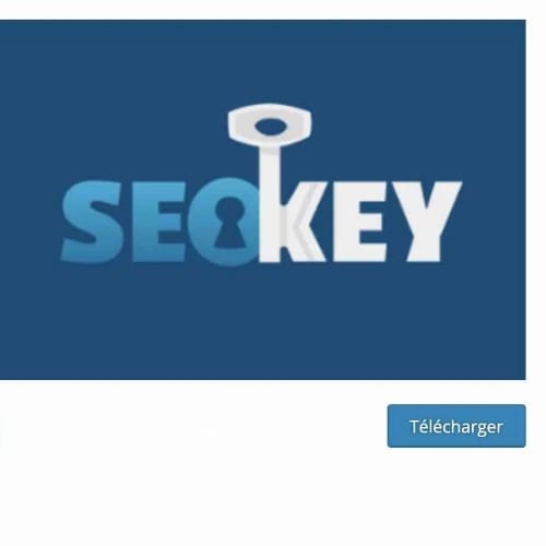 SEOkey Plugin de référencement pour sites en WordPress